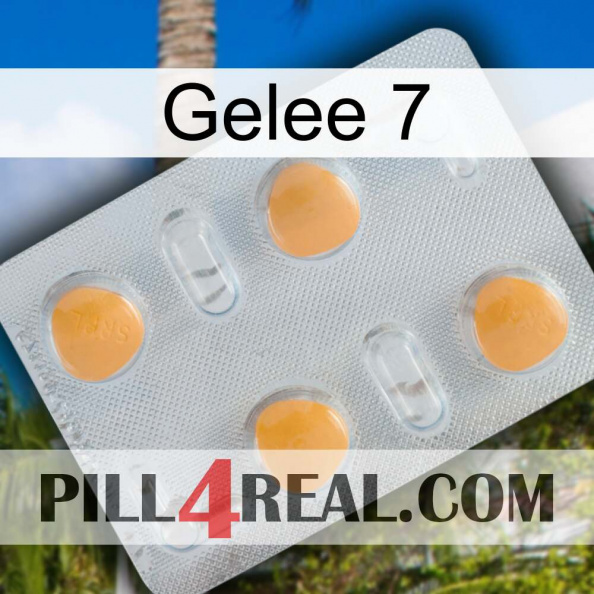 Jelly 7 24
